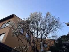 -龙华素斋(龙华路店)