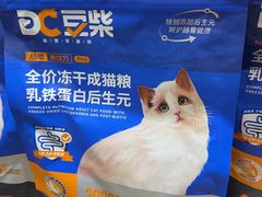 -屋虎猫馆(宝安大仟里店)