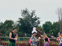 -荷兰花海