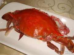野生母蟹-海岛渔村大酒店(云霄路店)