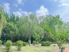 -丁香湖公园