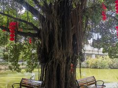 -人民公园(罗湖区)