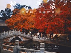 -香山公园