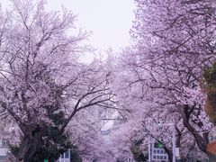 -吉林大学(南岭校区)