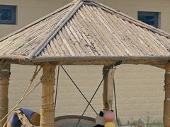 -石家庄市动物园