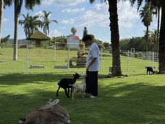 -东南花都花博园