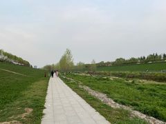 -洨河生态公园