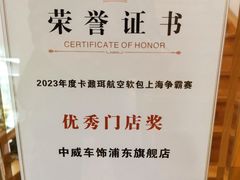 -天猫养车贴膜轻改·蓝电(优匹康桥东路店)