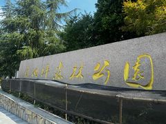 -铁山坪森林公园