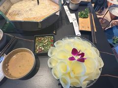 -新草堂锅物料理(泉城路店)