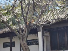 -白马涧龙池景区