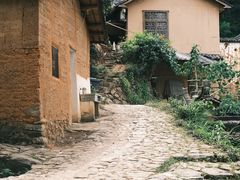-杨家堂村