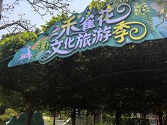 -天鹿湖森林公园
