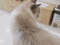 -美联众合动物医院·内科·皮肤科·外科(古城分院)
