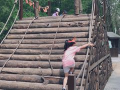 -黄海国家森林公园