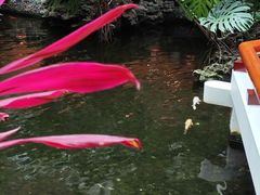 -广州白天鹅宾馆