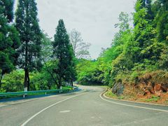 -贵州省植物园