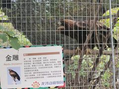 -齐齐哈尔龙沙动植物园