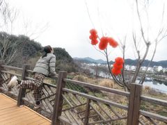 -婺源月亮湾