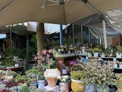 -三圣花乡旅游区