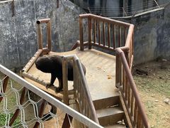 -福州动物园