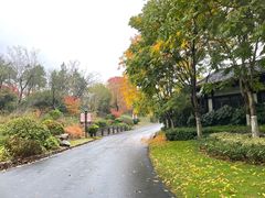 -茅山东方盐湖城景区