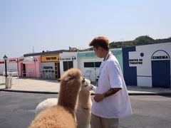 -Blue Concept Cafe&Farm·關於藍