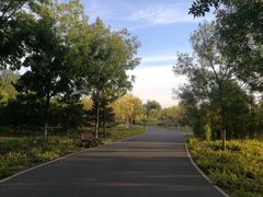-东郊湿地公园