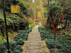 -梦姑塘文化公园