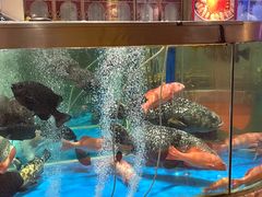 -惠食佳(滨江大公馆店)