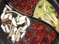-白乐天毛肚火锅馆(解放碑店)