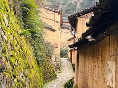 -杨家堂村