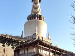 -张掖大佛寺景区