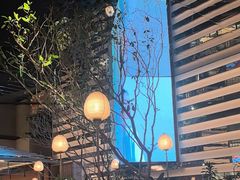 -桂满陇·海市蜃楼·黑金(国金店)