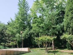 -玲珑塔公园