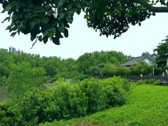 -大亚湾红树林城市湿地公园