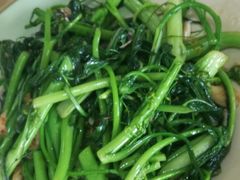 菜心-得福农庄