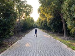 -上海海湾国家森林公园