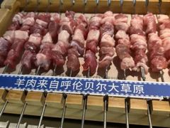 呼伦贝尔羊肉串-很久以前羊肉串(昌里路三钢里店)