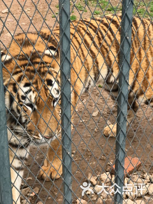 無錫動物園·太湖歡樂園圖片 - 第12張