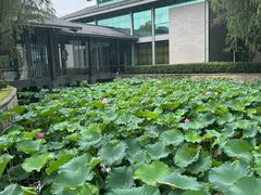 -绍兴鉴湖君澜大酒店