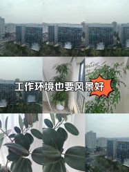 -HEYAN荷妍专业脱毛连锁机构