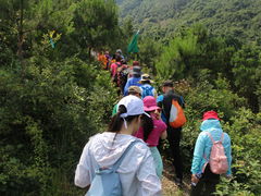-上海和平眼科医院
