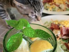 -海边的猫和咖啡馆