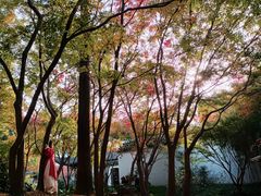 -秋霞圃