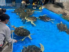 -泉城欧乐堡海洋极地世界
