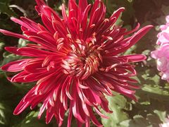 -上海市龙华烈士陵园