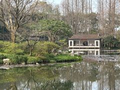 -山外山菜馆(玉泉路店)