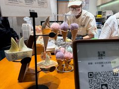 -野人先生现做冰淇淋(北京环宇荟店)