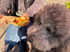 -Dough&Joe团憩(瑞虹天地月亮湾店)